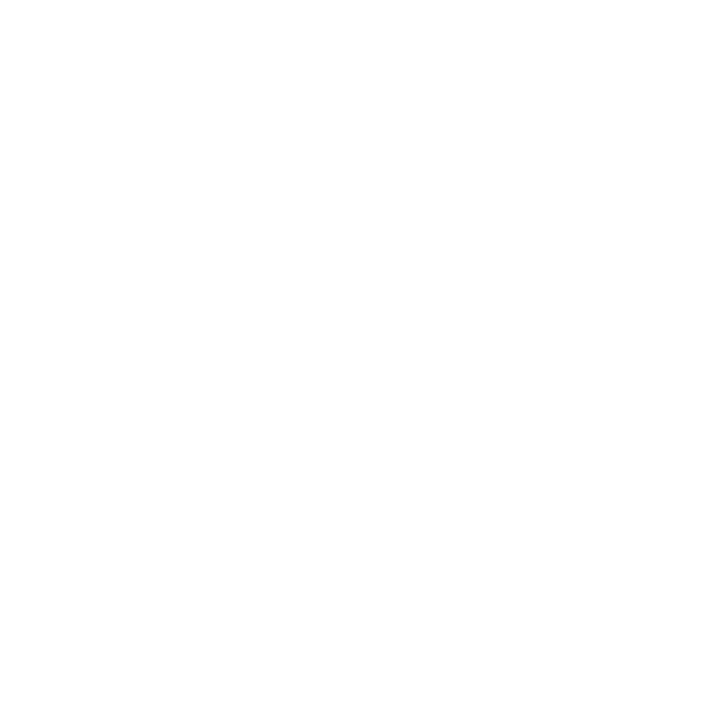 webstore logo